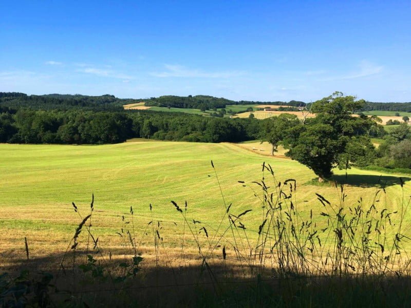 Domaine Les Filloux